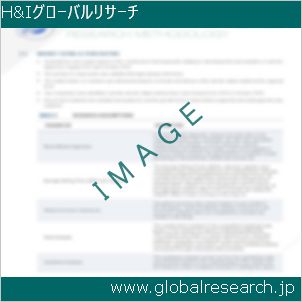 グローバルリサーチ調査レポートのイメージ